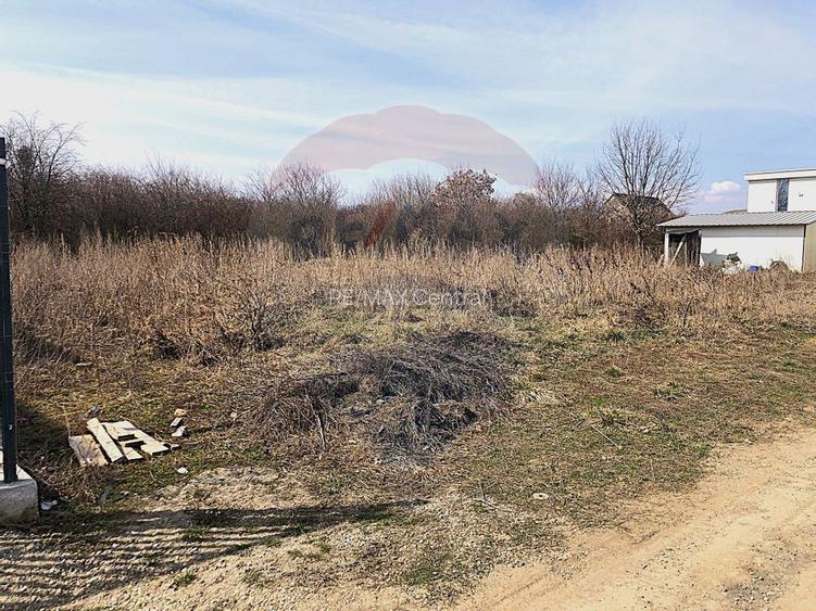 Comision 0% | Teren Intravilan Sanpetru | Strada Gutuiului | 500 mp | - 3