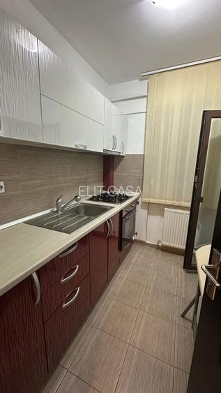 Apartament cu 2 camere, PET FRIENDLY, zona Tatarasi - 3