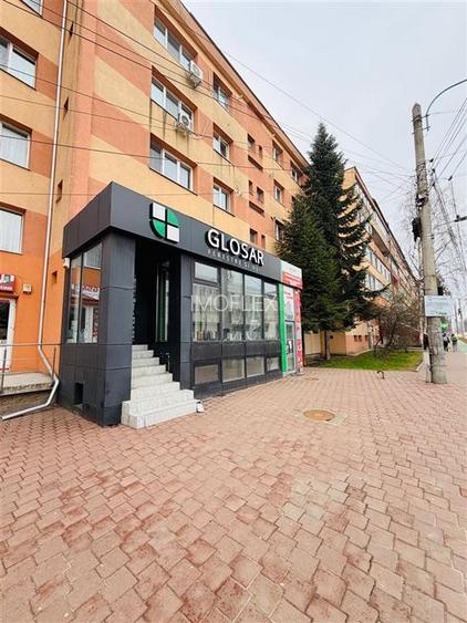 Spatiu de inchririat - Statie Banca - 2