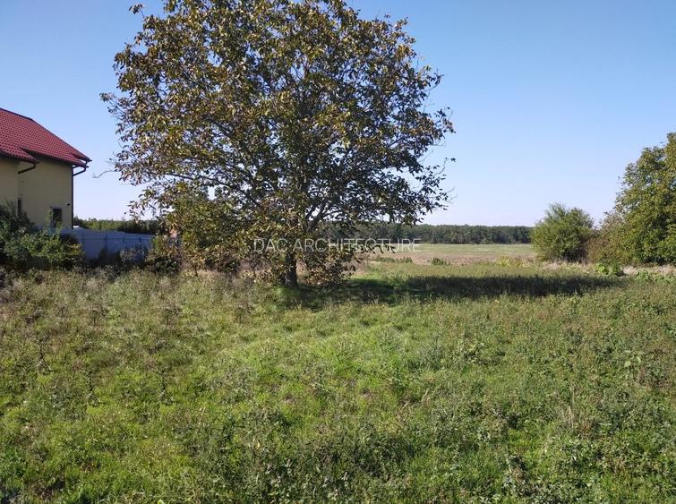 TEREN INTRAVILAN 1950 MP MOARA VLASIEI LA LAC - 2