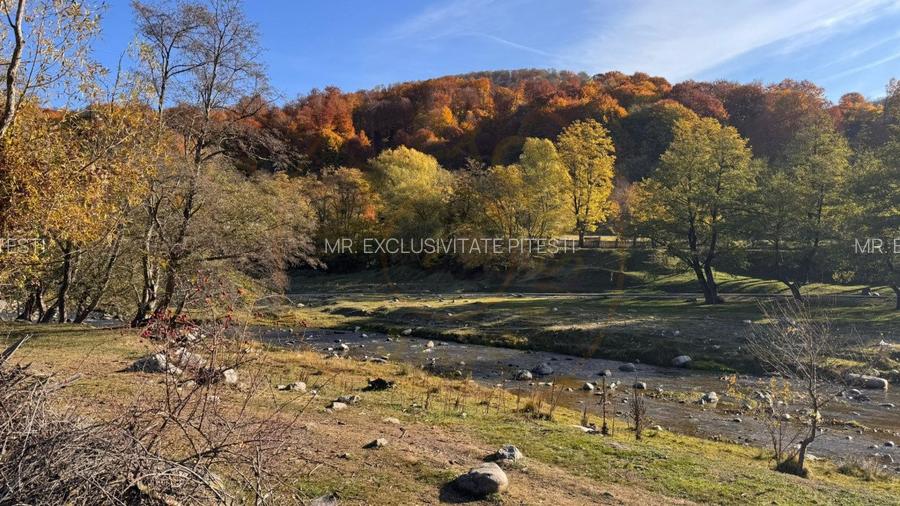 Teren Salatrucu - 7500 mp - 3