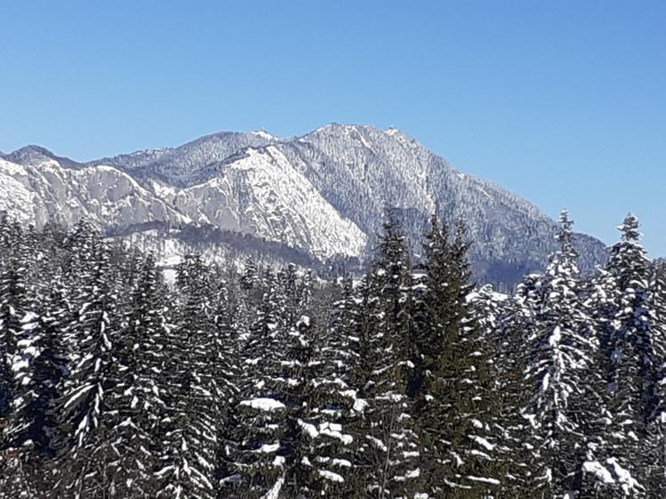 Vand teren intravilan 5500 mp PUZ, studiu GEO, ridicare TOPO, apa, gaz, curent - 3