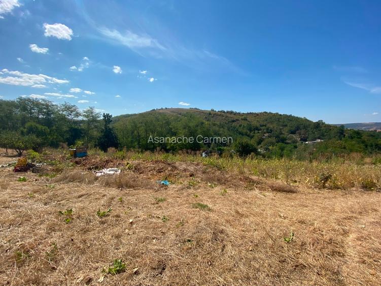 Vând teren intravilan comuna Parincea Jud Bacau - 6