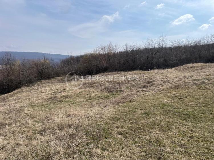 Teren intravilan 11.300mp, Barnova, cu acces auto si front stradal - 7