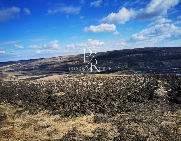 Teren extravilan, 4940 mp, zona Dealul Fanatelor! - 5