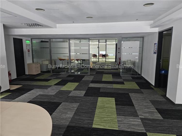 Spatii Birouri - 500 la 3500 mp - Parcul Sub Arini - 16