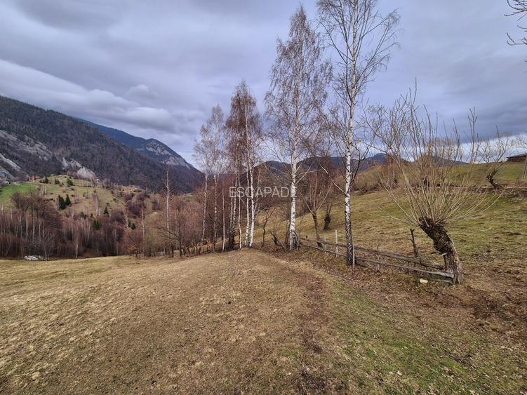 Teren cu energie speciala, Pestera/ 13570mp extravilan/Comision 0 % - 6