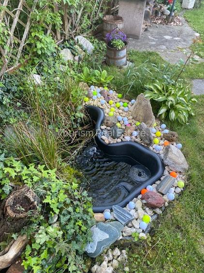 Casa superba Parcul Subarini - 35