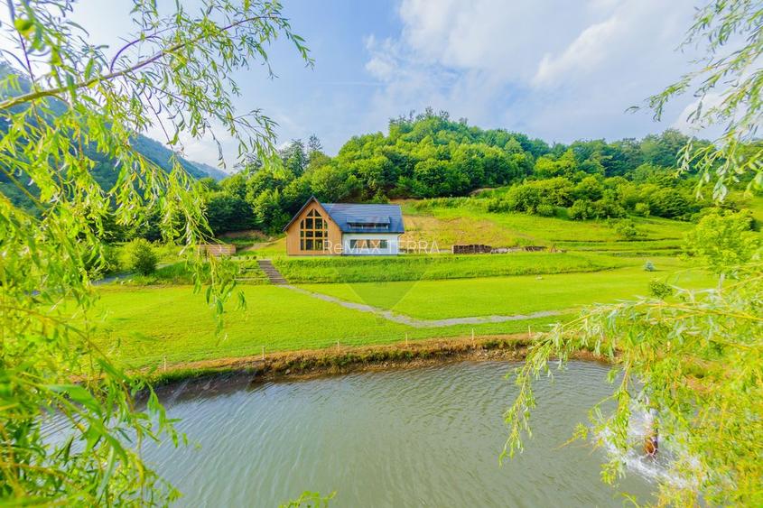 REDUCERE DE PRET!!!Cabana de vis la poalele Munților Țibleș!! - 9