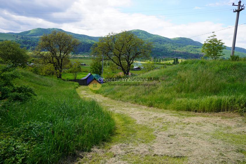 Teren 9000 mp intravilan Piatra Neamt , ideal investitie - 20