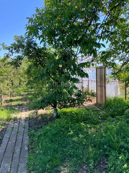  Oportunitate ideală de investiție și locuit– Casă, curte și livadă pe 1800 mp - 9