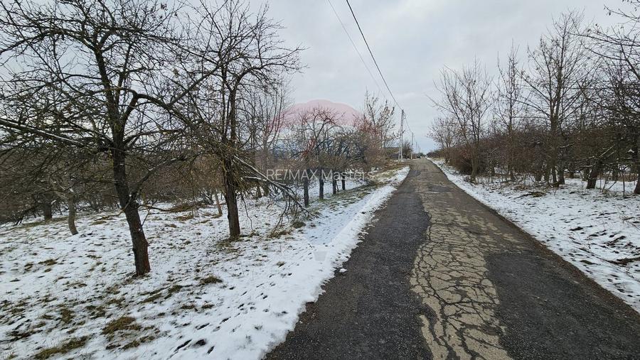 Teren 10,000mp Radaseni / Soseaua DN2-E85, judetul Suceava - 13