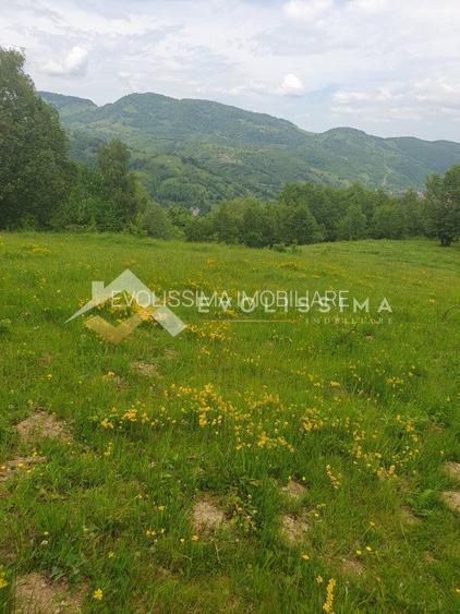 Investitie Teren intravilan 11.396 mp Moieciu de Jos - 5