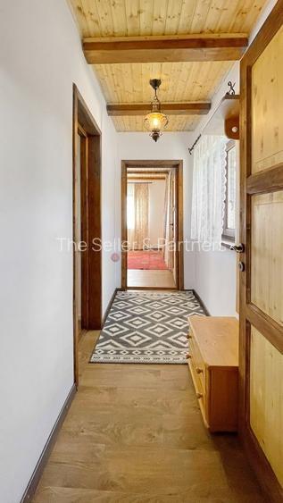 Complex de 3 case pe 18000 mp teren - 37