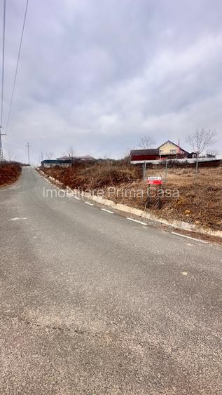 TAUTII MAGHERAUS - drumu Nistrului 16 ari teren intravilan pt case! - 8