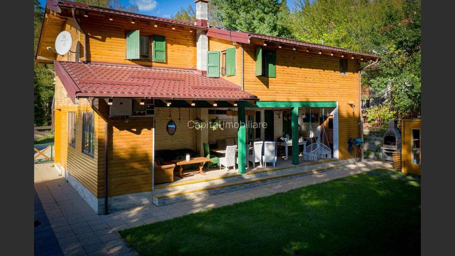 Casa de vacanta superba in Crivaia - 19