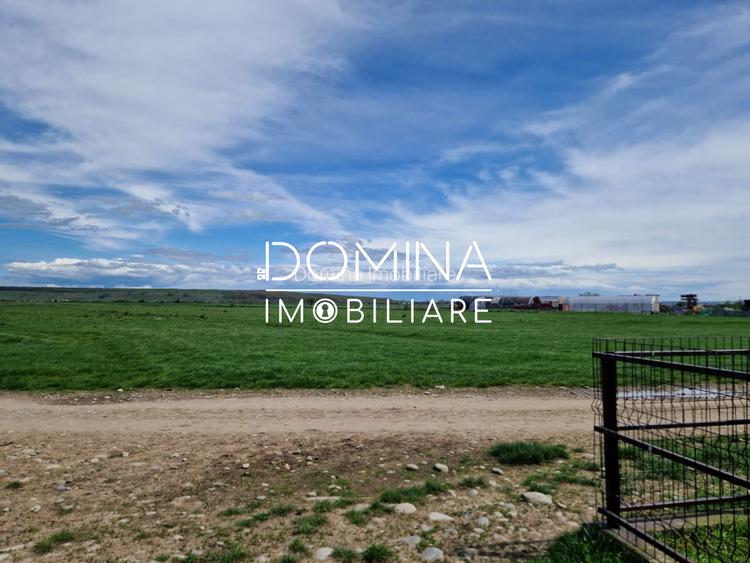 Vânzare teren extravilan 25.254 mp, situat în localitatea componentă Preajba - 3