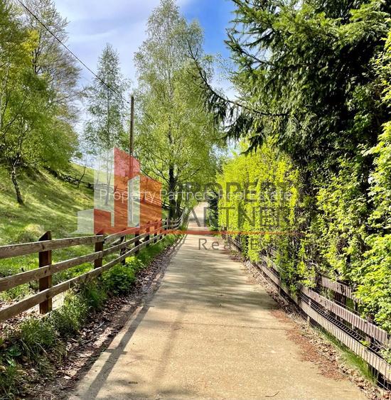 Teren in sat Pestera, comuna Moeciu. - 10