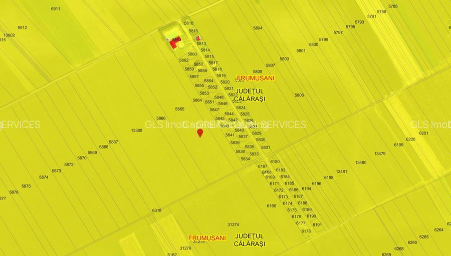 Frumusani-Pasarea '70 loturi cu drum intr-o zona in dezvoltare  - 4