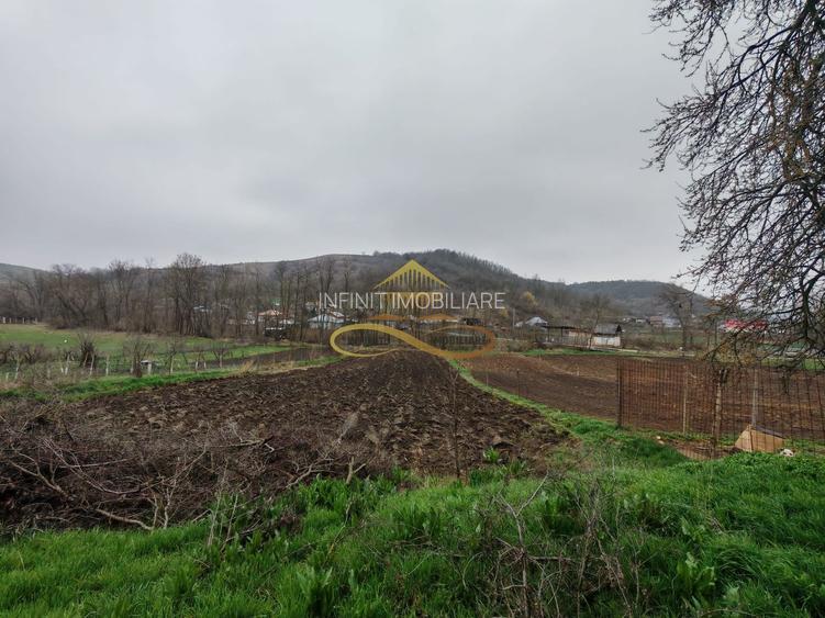 Casă din BCA, izolata, de vânzare în Parincea - 5