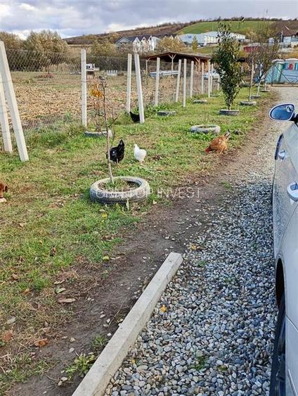 Teren extravilan cu apa si curent 700 mp in Sura Mare - 4