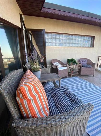 Penthouse 2 camere, inchiriere lunga durata, Herastrau - 21