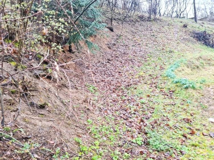 Teren intravilan1291 mp Schei Str Nisipului iesire la Drumul Poienii - 6