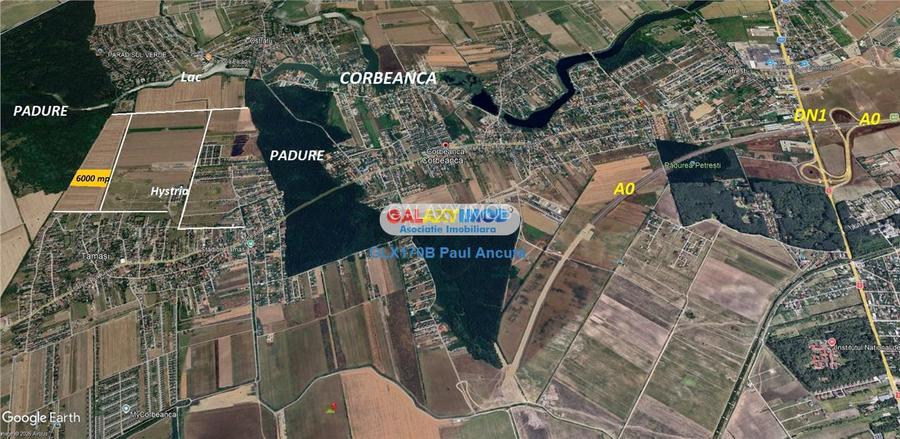 Teren 6000 mp Latura Padure Corbeanca   cartier Corbeanca Parc - 4