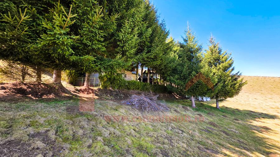 Proprietar | Teren Panoramic+PUZ + Cabana | Drumul Paltinisului |746mp - 10