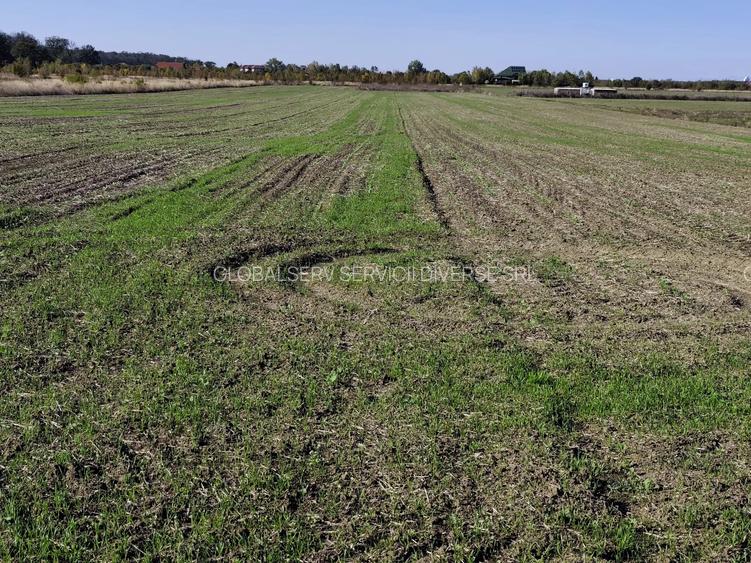 FARA COMISIOANE teren extravilan aproape de padure 5054mp merita vazut - 2