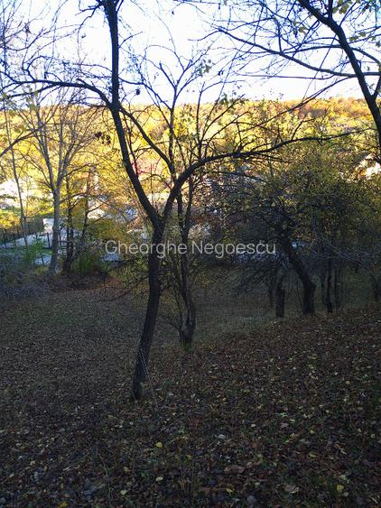 Teren intravilan 3.788 mp, deschidere 39 m, Fieni, sat Costești, jud. Dâmbovița - 7