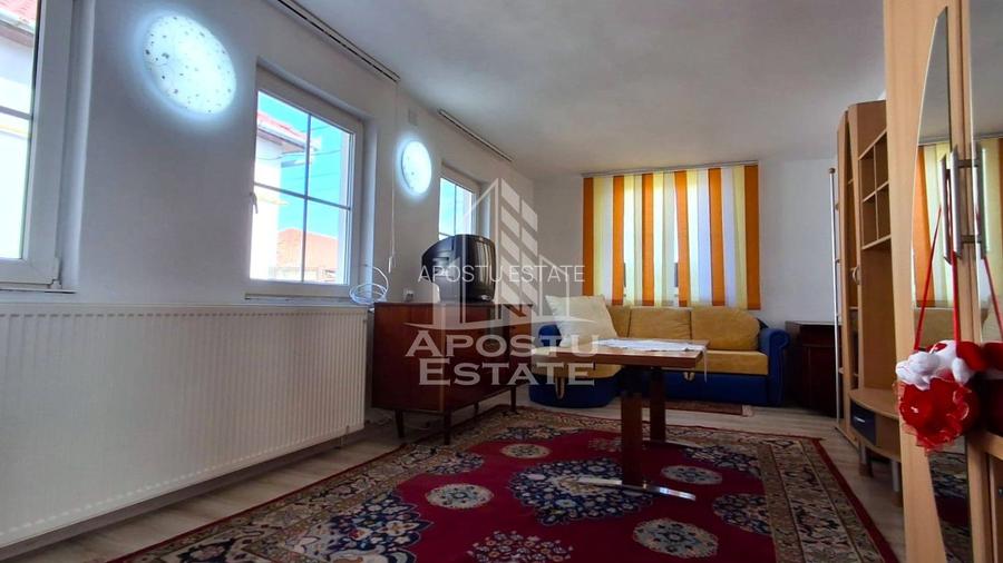 Casa de vanzare in Ineu formata din 2 cladiri - 34