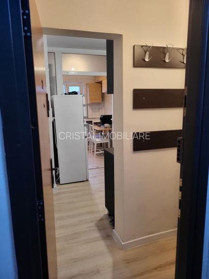 Apartament 2 camere de închiriat Brâncoveanu - 4