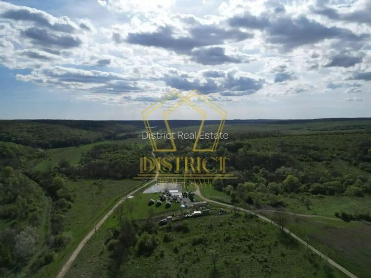 Casa de vacanta cu teren si padure de 3.8ha | Nadas | Herneacova - 11