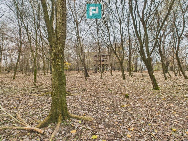 Teren pe malul Muresului- oportunitati multiple - 30