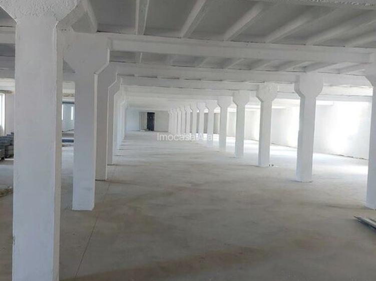 Hala depozitare, productie Bodrogului Aeroport Arad Autostrada A1 - 3