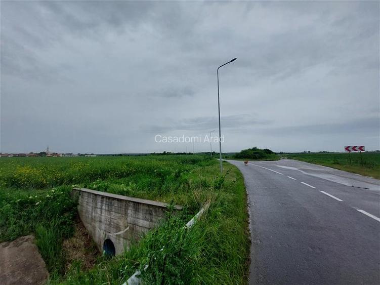 Teren intravilan in apropiere de Via Carmina, Vladimirescu - 4