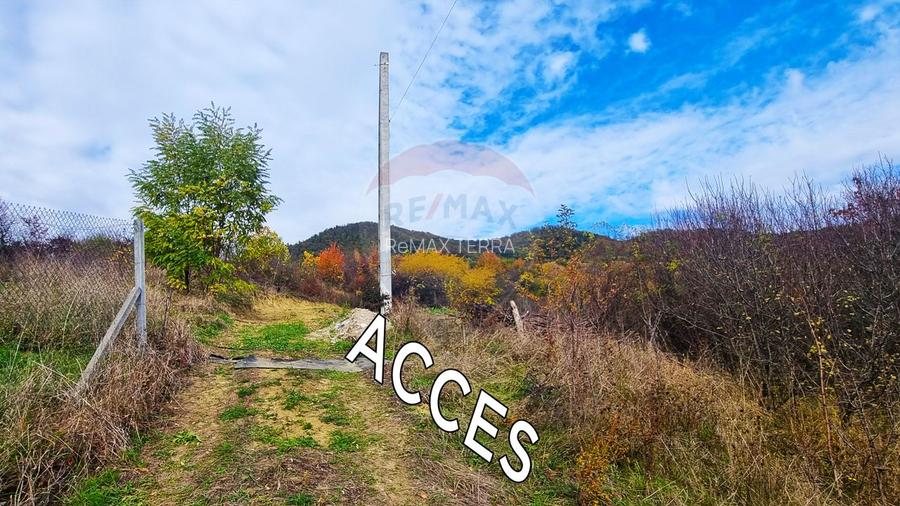 DE VANZARE: TEREN 25 ari cu panorama - Baia Mare - str. Miron Costin - 2