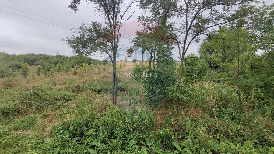 Teren 2.341 mp Uileacu de Munte front 26 ml la drum asfaltat - 14