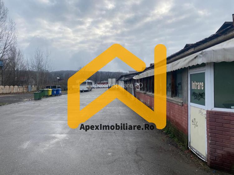 Hale Industriale de Vânzare Baicoi – 1100 mp + 800 mp, teren 5500 mp - 8