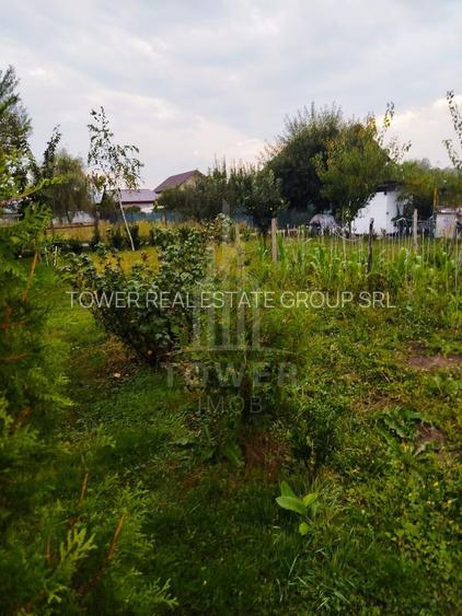 Oportunitate! Teren 1500 mp cu cabană și utilități – Șelimbăr/Cisnădie - 6