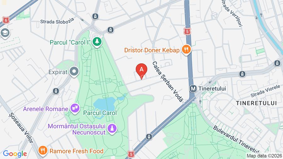 Studio- Parcul Carol - 8