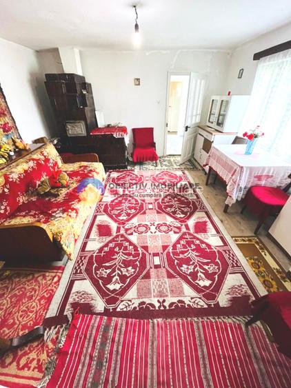 CASĂ + Teren 4616 mp RĂUCEȘTI, langa TARGU NEAMȚ - 7