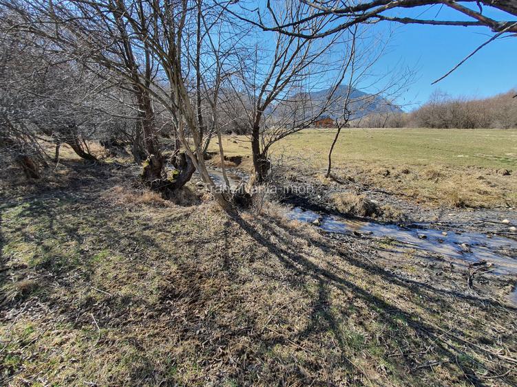 Teren rezidential Bran – Tohanita zona de case - 3