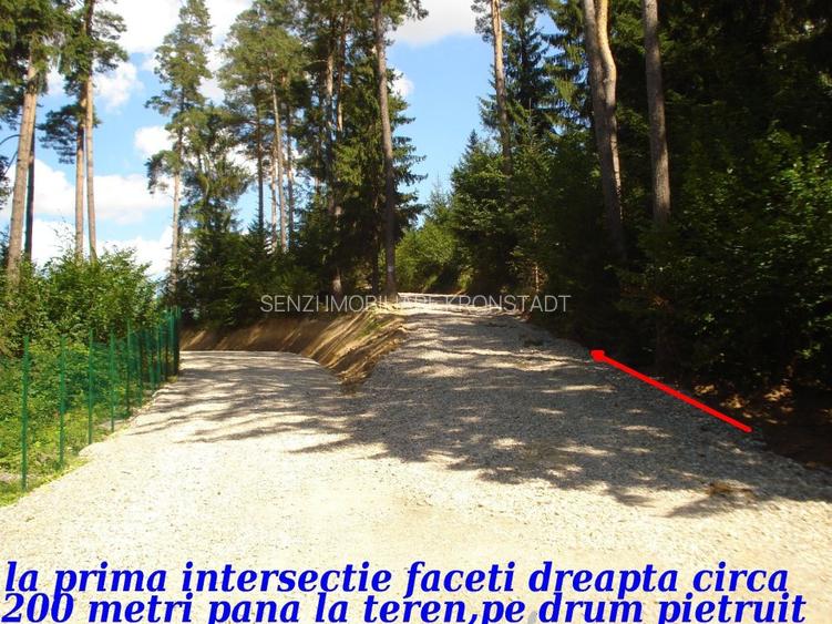 Parcele de vis cu utilități și panoramă impresionantă! - 3