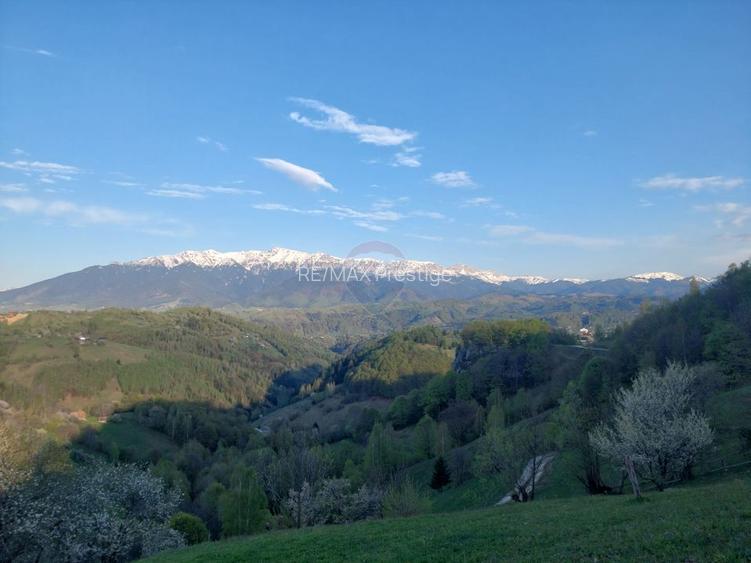 Teren 3,618mp Pestera / Strada Principala - 2
