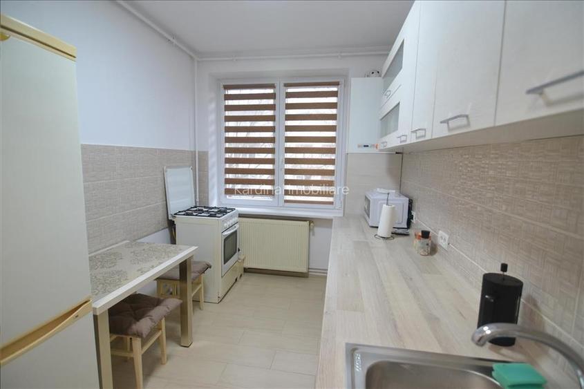 Inchiriere apartament 2 camere  etaj intermediar Tractorul- Goga - 22