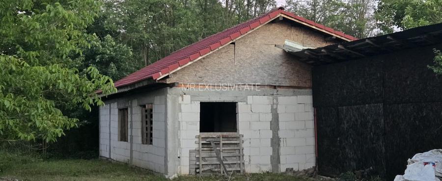 Casă cu 7.769 mp teren și pădure | Budieni | 53.000€ - 8