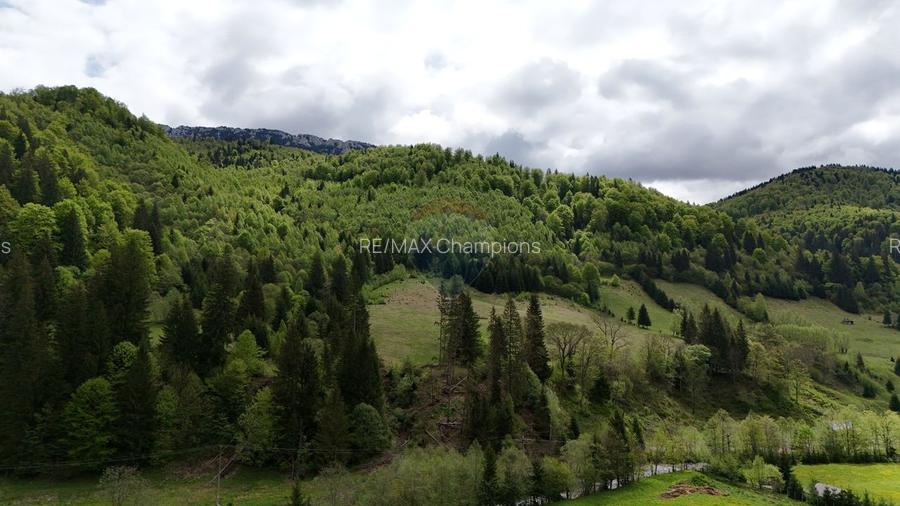 Extravilan + Intravilan | Sătic-Rucăr | Cadru natural | Turistic - 6