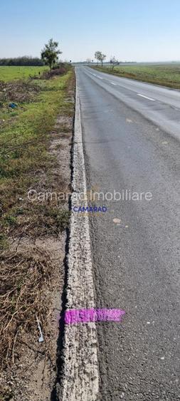 Teren de vanzare- deschidere DN4 138 m  -  Budesti, sat Gruiu - Calarasi - 4